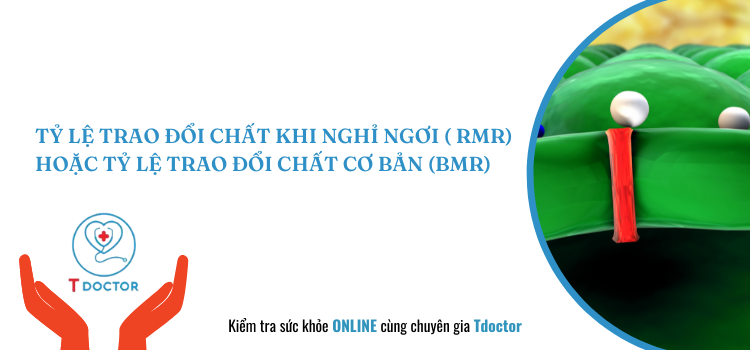 TỶ LỆ TRAO ĐỔI CHẤT KHI NGHỈ NGƠI (RMR) HOẶC TỶ LỆ TRAO ĐỔI CHẤT CƠ BẢN (BMR)